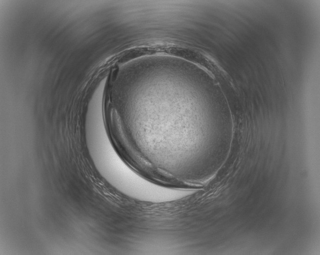 X0000052641016200507082000