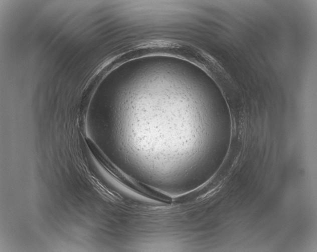 X0000052641017200507082000