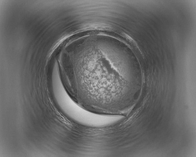 X0000052641019200507082000