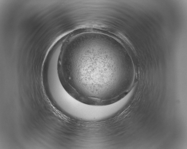 X0000052641020200507082000