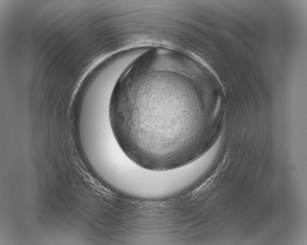 X0000052641021200507082000