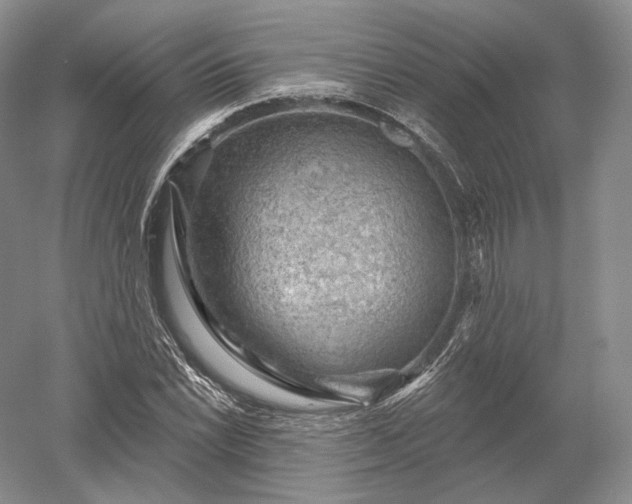 X0000052641022200507082000