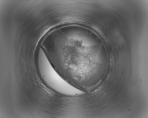 X0000052641023200507082000