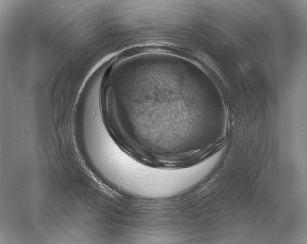 X0000052641024200507082000