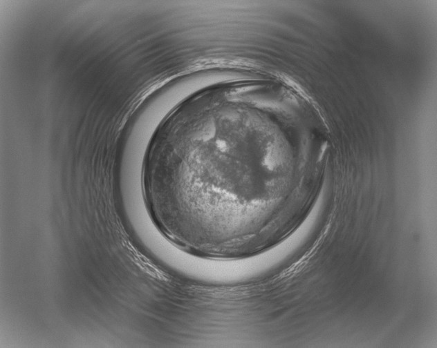 X0000052641025200507082000