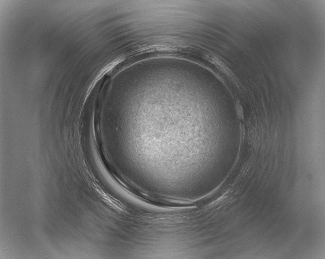 X0000052641026200507082000