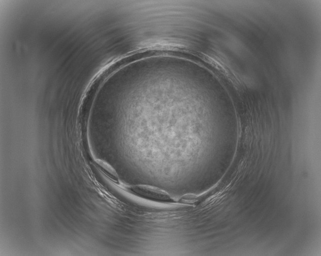 X0000052641027200507082000