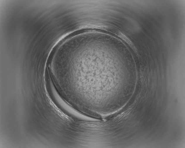 X0000052641028200507082000