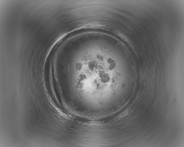 X0000052641029200507082000