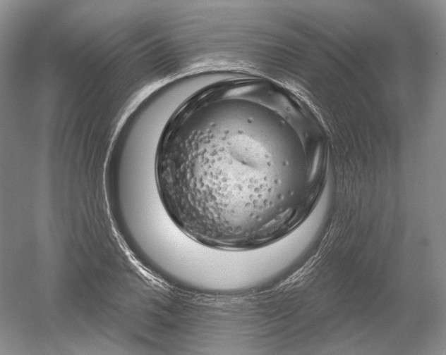 X0000052641030200507082000