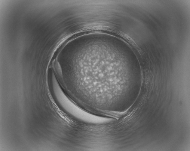 X0000052641031200507082000