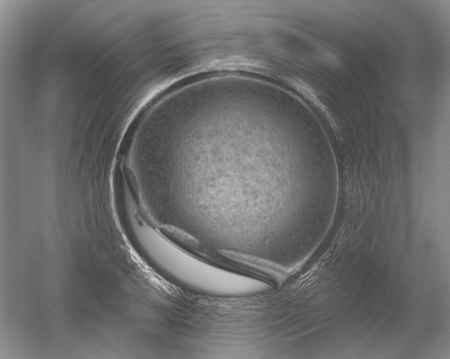 X0000052641032200507082000