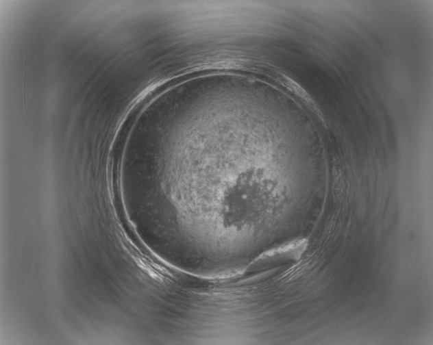 X0000052641035200507082000