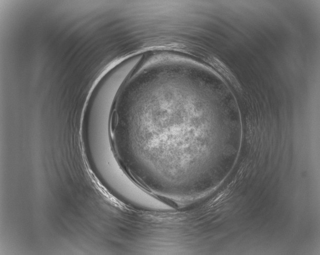 X0000052641036200507082000