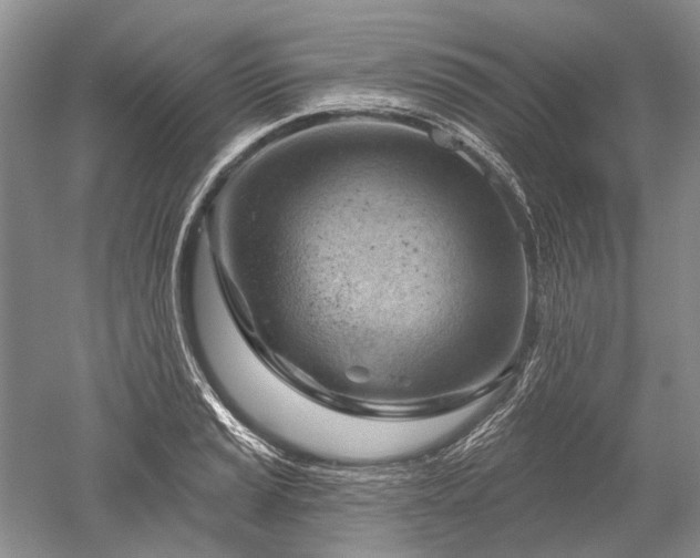 X0000052641037200507082000