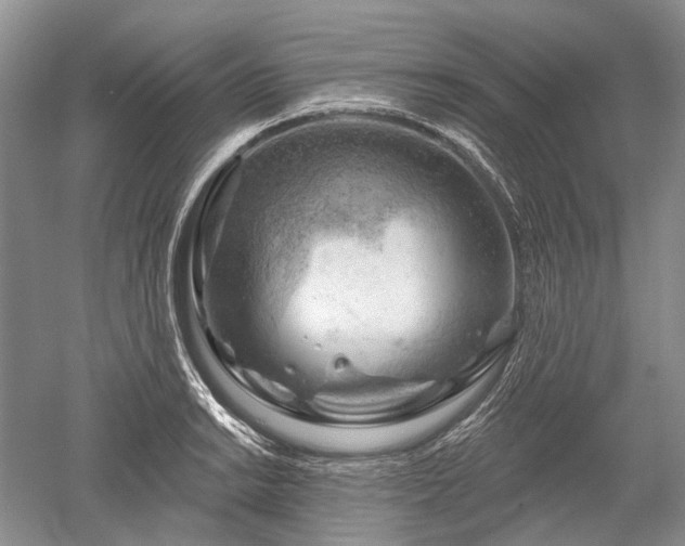 X0000052641038200507082000