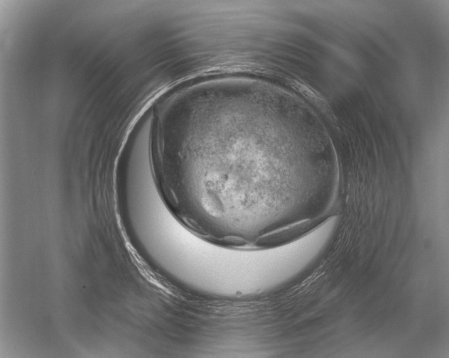 X0000052641039200507082000