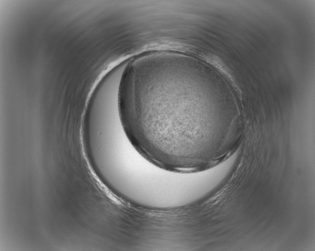 X0000052641040200507082000