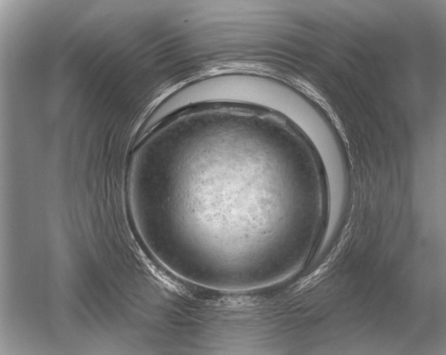 X0000052641041200507082000