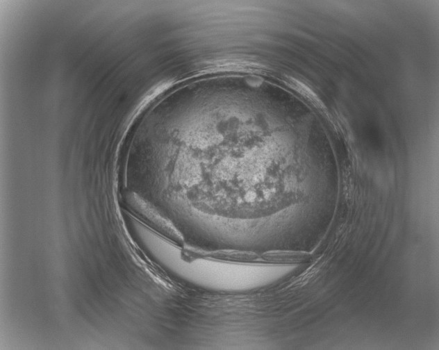 X0000052641043200507082000