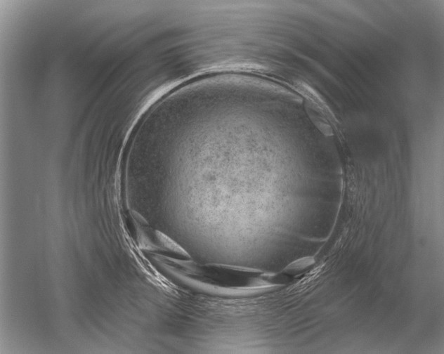 X0000052641044200507082000