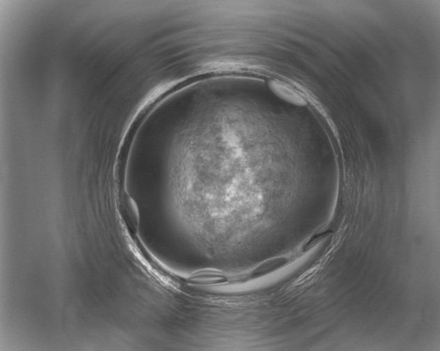 X0000052641045200507082000