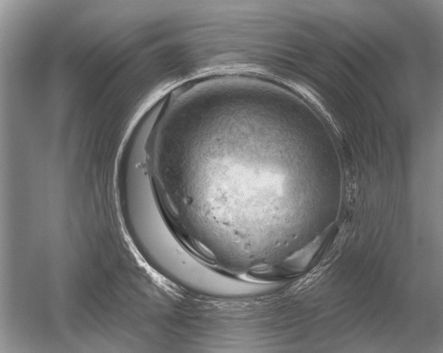 X0000052641046200507082000