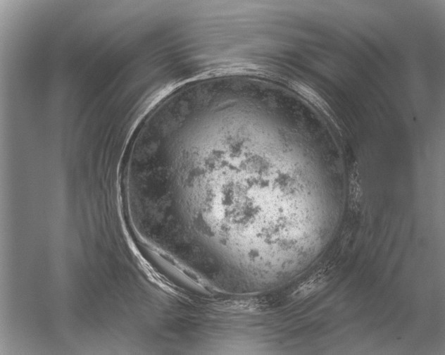 X0000052641047200507082000