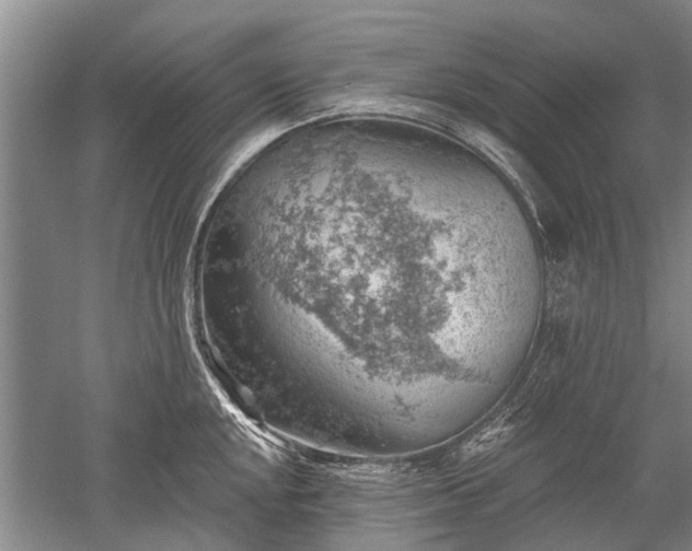 X0000052641048200507082000