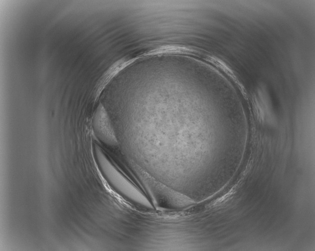 X0000052641049200507082000