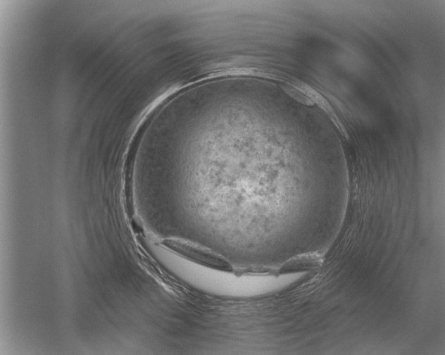 X0000052641051200507082000