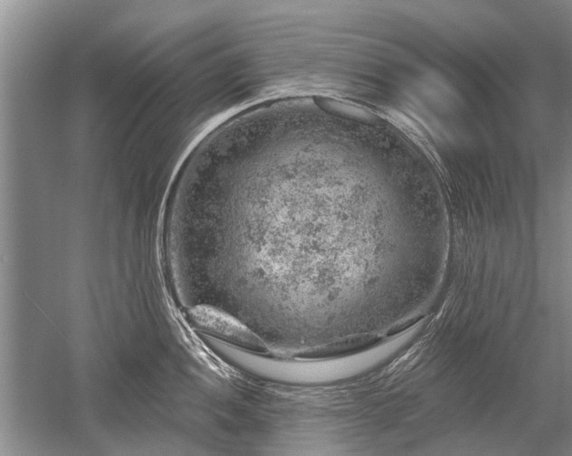 X0000052641052200507082000