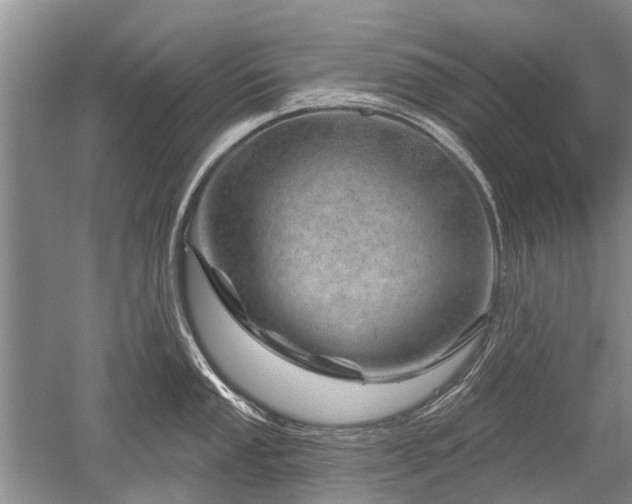 X0000052641053200507082000