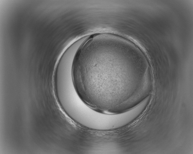 X0000052641056200507082000