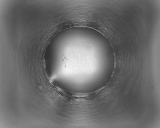 X0000052641057200507082000