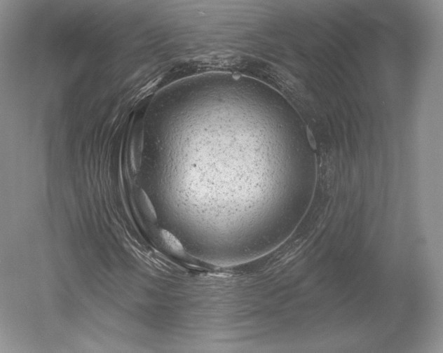 X0000052641058200507082000