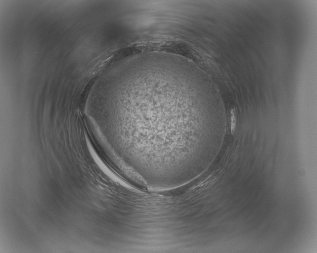 X0000052641059200507082000