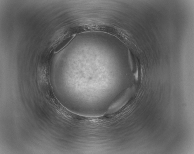 X0000052641060200507081959