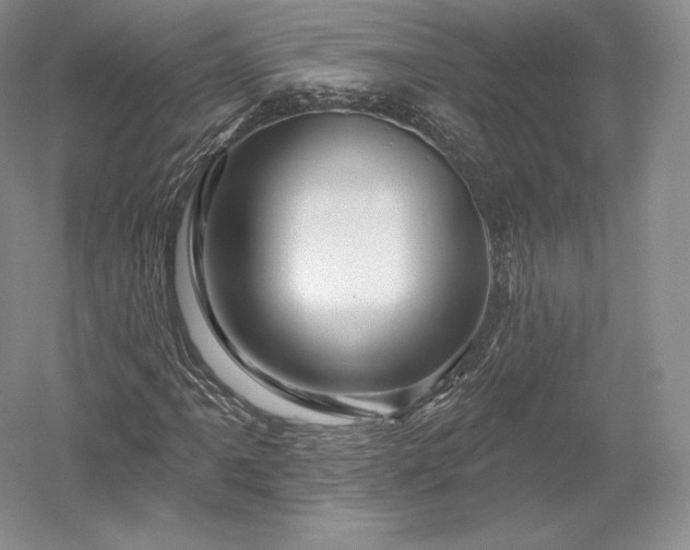 X0000052641061200507081959