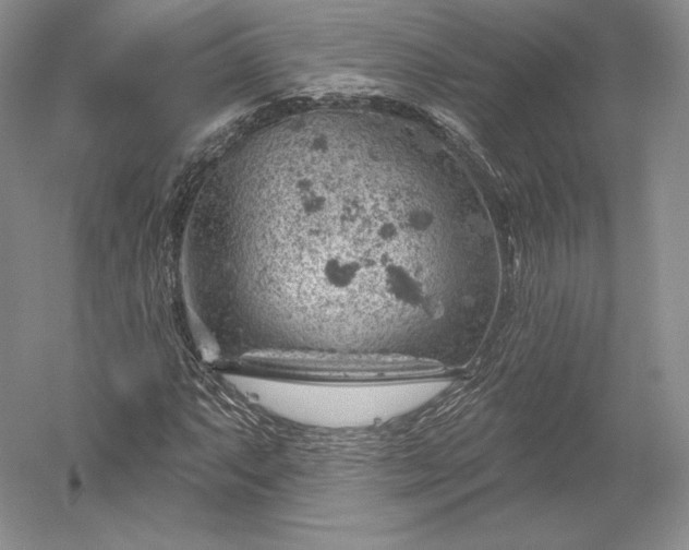 X0000052641063200507081959