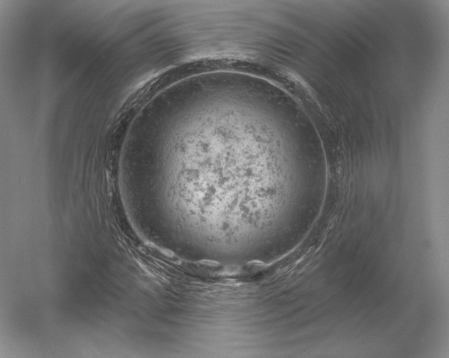 X0000052641064200507081959