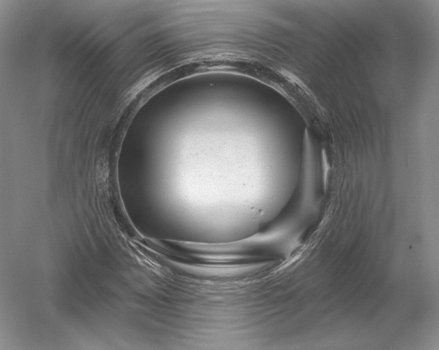 X0000052641065200507081959