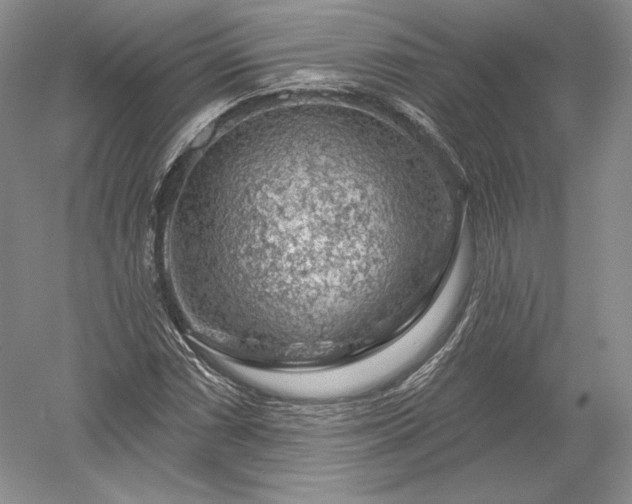 X0000052641066200507081959