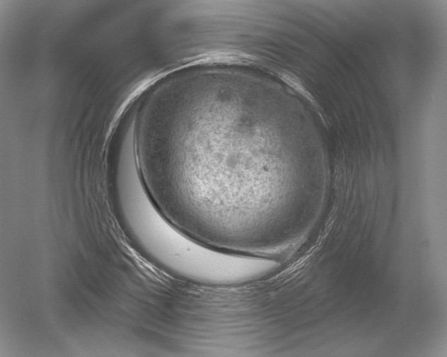 X0000052641067200507081959