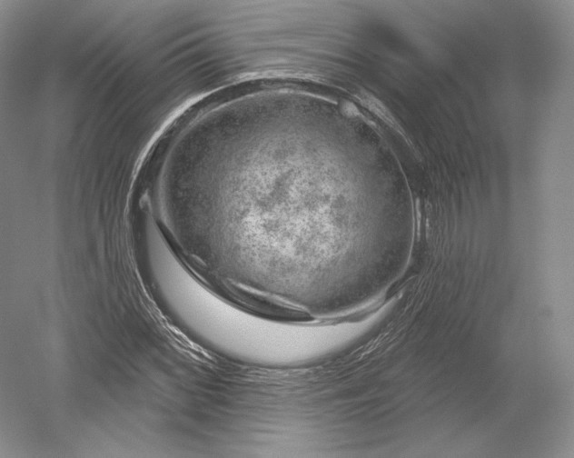 X0000052641068200507081959