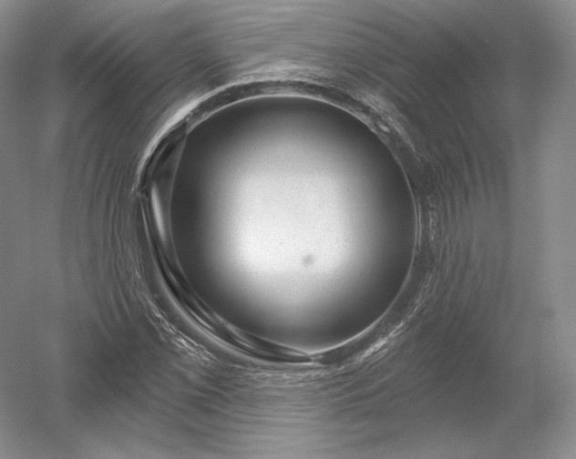 X0000052641069200507081959