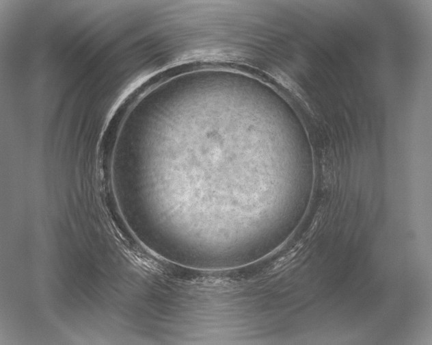 X0000052641070200507081959