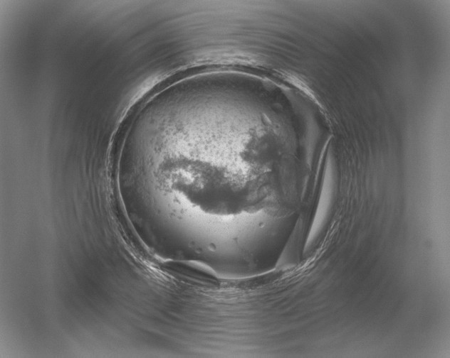 X0000052641071200507081959