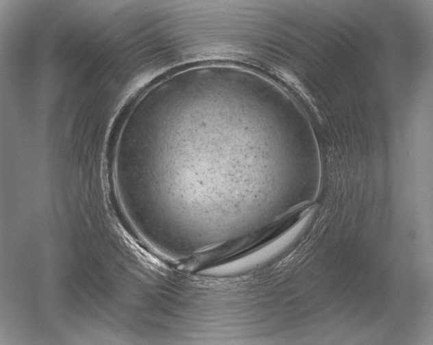 X0000052641072200507081959