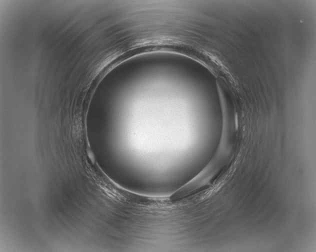 X0000052641073200507081959